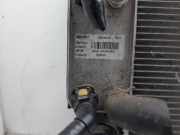 Radiator 6H918005FB Land + Range Rover Freelander II Geländewagen 2.2 td4 16V (224DT)