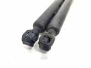 Gasdruckfedern Set Hinten 8200021974 Renault Espace (JK) Großraumlimousine 2.0 dCi 16V 150 FAP . (M9R-740)