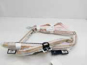 Vorhang Airbag Rechts VOOR 6F9880742G Seat Arona (KJX) SUV 1.6 TDI 115 (DGTA)