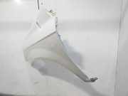 Kotflügel Links Vorne 663111C600 Hyundai Getz Schrägheck 1.1i 12V (G4HD)