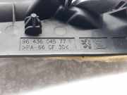 Türgriff Innen Links Hinten 9643604577 Peugeot BREAK / SW (S1) SW Port Aventura 109 CV / 80 KW
