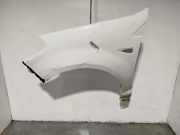 Kotfl?gel Links Vorne 631017245R Dacia Sandero I (BS) Schr?gheck 1.5 dCi 70 (K9K-792)