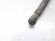 Gasdruckfeder Set Vorne 1M0823359A Seat Leon (1M1) Schr?gheck 5-drs 1.6 16V (BCB)