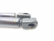 Gasdruckfedern Set Hinten 9819665980 Citroën C4 Picasso (3D/3E) Großraumlimousine 1.6 BlueHDI 120 (DV6FC(BHZ))