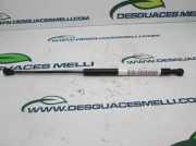 Gasdruckfedern Set Hinten 7700800311 Renault Clio (B/C57/357/557/577) Schrägheck 1.2i (C3G-720)