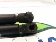 Gasdruckfedern Set Hinten 7700842256 Renault Clio II (BB/CB) Schrägheck 1.5 dCi 65 (K9K-704)