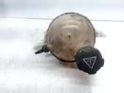 Ausgleichbehälter - - 1323X6 Citroën DS4 (NX) Schrägheck 2.0 HDiF 16V 160 16V (DW10CTED4.DTR(RHH)) 2011