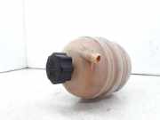 Ausgleichbehälter - - 132311 Peugeot 206 (2A/C/H/J/S) Schrägheck 1.4 XR,XS,XT,Gentry (TU3JP(KFW))