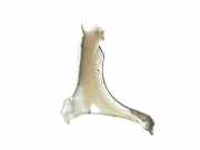 Kotflügel Links Vorne 96624392 Daewoo / Chevrolet Captiva (C100) SUV 2.4 16V 4x2 (Z24SED)