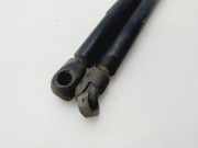 Gasdruckfedern Set Hinten 7700842256 Renault Clio II (BB/CB) Schrägheck 1.2 (D7F-746) 2003