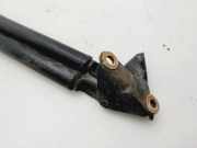 Gasdruckfedern Set Hinten 68950440 Toyota Picnic (XM10) Gro?raumlimousine 2.2 TD GL,GX (3CTE)