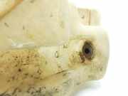 Scheibenwaschbehälter 90589332 Opel ASTRA G BERLINA Club 75 CV / 55 KW