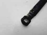 Gasdruckfedern Set Hinten FN1BN400A12AB Ford EcoSport (JK8) SUV 1.5 TDCi EcoBlue (XVJD)