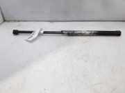 Gasdruckfedern Set Hinten 08610500 Renault Scénic I (JA) -> 1999, Zie MEGANE Großraumlimousine 1.9 dTi (F9Q-744)