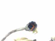 Türschloss Rechts Vorne 813203E010 Kia Sorento I (JC) SUV 2.5 CRDi 16V (D4CB)