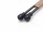 Gasdruckfeder Set Vorne 654707606R Renault Megane IV (RFBB) Schrägheck 5-drs 1.5 Energy dCi 90 (K9K-656)