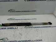 Gasdruckfedern Set Hinten 7700846773 Renault (B56) 2.0 RT (B56C/H/L) 113 CV / 83 KW