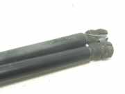 Gasdruckfedern Set Hinten 1H6827550A Volkswagen Golf III (1H1) Schrägheck 1.9 D,Eco D (1Y) 1Y