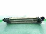 Ladeluftkühler 17517524916 BMW 1 serie (E87/87N) Schrägheck 5-drs 120d 16V (M47-D20(204D4))
