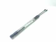 Gasdruckfeder Set Vorne A2048800029 Mercedes-Benz E (W212) Limousine E-220 CDI 16V BlueEfficiency (OM651.924)