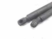 Gasdruckfedern Set Hinten 6M21R406A10 Ford S-Max Gro?raumlimousine 2.0 TDCi 16V 140 (QXWA)