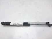 Gasdruckfedern Set Hinten 7700842256 Renault II FASE II (B/CB0) Expression 58 CV / 43 KW