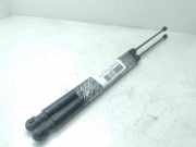 Gasdruckfedern Set Hinten 8V41S406A10AE Ford Kuga I SUV 2.0 TDCi 16V 140 (UFDA)