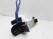 Türgriff Außen Links Hinten 6921174020B0 Toyota Prius (ZVW3) Schrägheck 1.8 16V (2ZRFXE)