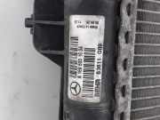 Radiator A1695000703 Mercedes-Benz A (W169) Schr?gheck 2.0 A-180 CDI 16_V (OM640.940)