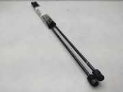 Gasdruckfedern Set Hinten 4M51N406A10AB Ford Focus C-Max Großraumlimousine 1.8 16V (QQDB)