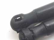 Gasdruckfedern Set Hinten 8200377789 Renault SCENIC II Luxe Privilege 120 CV / 88 KW