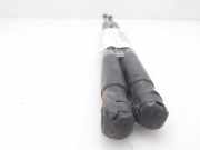 Gasdruckfedern Set Hinten 8200616559 Renault Scénic II (JM) Großraumlimousine 1.5 dCi 105 (K9K-732)