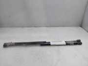 Gasdruckfedern Set Hinten 811813E011 Kia 2.5 CRDi EX 140 CV / 103 KW