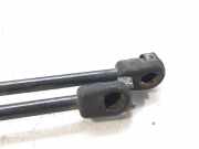 Gasdruckfedern Set Hinten 9656592980 Peugeot 407 (6D) Limousine 2.0 HDiF 16V (DW10BTED4(RHR))