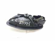 Türgriff Innen Rechts Vorne 806700005R Renault Laguna Coupé (DT) Coupé 2.0 dCi 16V 150 (M9R-858)