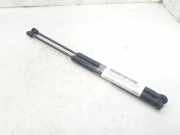 Gasdruckfedern Set Hinten 0046744596 Fiat Punto II (188) Schrägheck 1.2 60 S (188.A.4000)