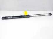 Gasdruckfedern Set Hinten BJ32406A10AB Land + Range Rover Range Rover Evoque (LVJ/LVS) SUV 2.2 TD4 16V (224DT(Euro 5))