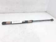 Gasdruckfedern Set Hinten 08910450 Renault Scénic I (JA) -> 1999, Zie MEGANE Großraumlimousine 1.9 dTi (F9Q-744)