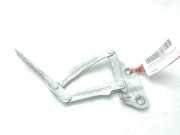 Motorhaubescharnier - - 2421364 Ford Transit Ch.Cab/Pick-up 2.0 TDCi 16V Eco Blue 170 4x4 (YNR6)