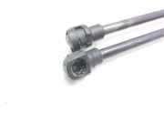 Gasdruckfedern Set Hinten 08410550 Peugeot 406 (8B) Limousine 2.0 HDi 110 (DW10ATED(RHZ))