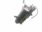 Zylinderkopf MG2502P Ford Fiesta 5 (JD/JH) Schrägheck 1.4 16V (FXJB)