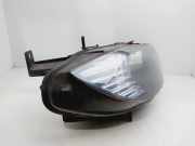 Scheinwerfer Links 7179860 BMW X6 (E71/E72) SUV xDrive30d 3.0 24V (M57N2-D30(306D3))