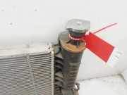 Radiator 1300N6 Peugeot 405 I (15B) Limousine 1.8 SRTD (XUD7TE(A8A))