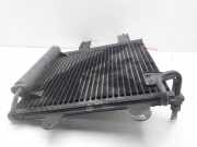 Klimakondensator 6X0820191A Volkswagen Polo IV (9N1/2/3) Schrägheck 1.4 TDI 75 (AMF) AMF