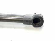 Gasdruckfedern Set Hinten 9647295480 Citroën C4 Berline (LC) Schrägheck 5-drs 1.6 HDi 16V (DV6ATED4(9HX))