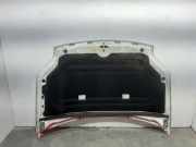 Motorhaube 7901K5 Citroën Berlingo Van 1.9 Di (DW8B(WJY))