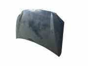 Motorhaube 6101021101 SsangYong Rodius Großraumlimousine 2.7 270 Xdi 20V 4x2 (M665.925(Euro 4))