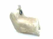 Scheibenwaschbehälter AWR4764 Land + Range Rover Freelander Hard Top Geländewagen 2.0 td4 16V (204D3)