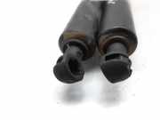 Gasdruckfedern Set Hinten 8200014026B Renault Vel Satis (BJ) Großraumlimousine 2.2 dCi 150 16V (G9T-702)