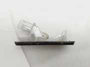 Kennzeichenbeleuchtung 8200013577G Renault Scénic II (JM) Großraumlimousine 1.9 dCi 130 (F9Q-818)